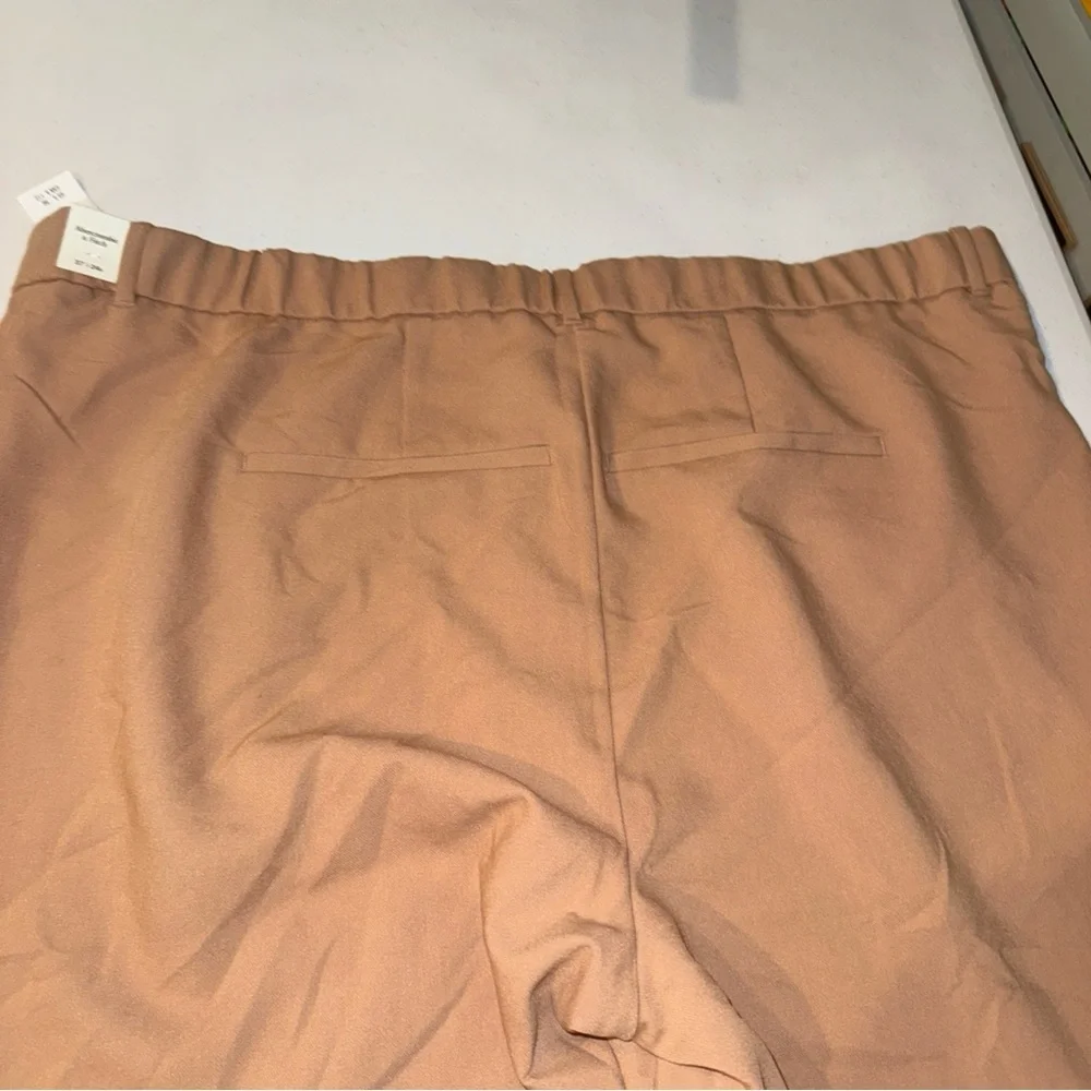 NEW Abercrombie & Fitch Pants 37 /‎ 24 Long Womens Pleated Wide Straight Trouser